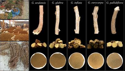 Using SSR-HRM to Identify Closely Related Species in Herbal Medicine Products: A Case Study on Licorice